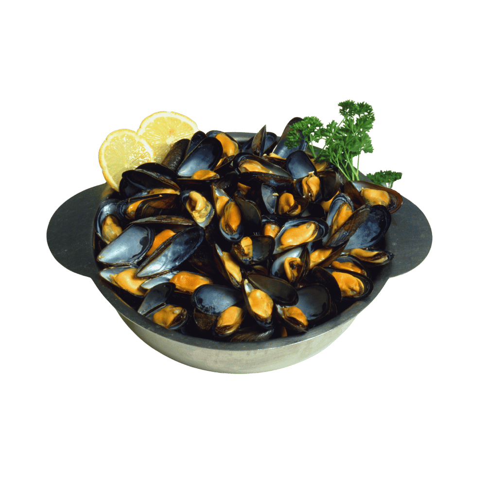 Mussels