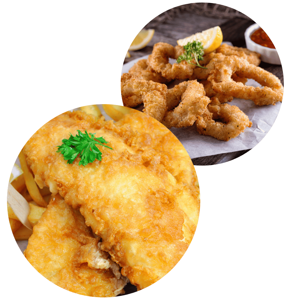 Hake fish and Calamari